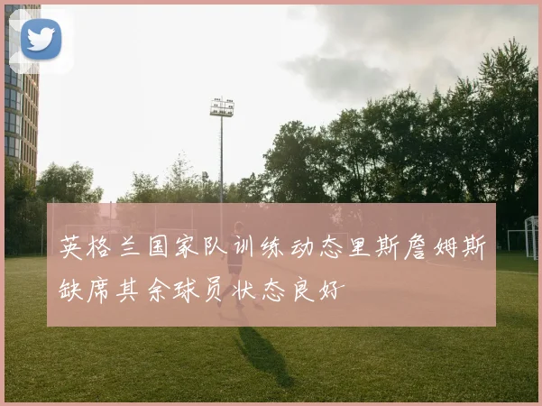 英格兰国家队训练动态里斯詹姆斯缺席其余球员状态良好