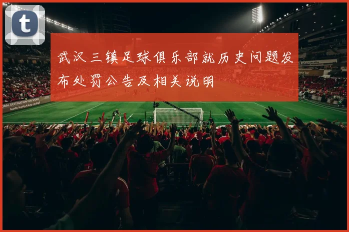 武汉三镇足球俱乐部就历史问题发布处罚公告及相关说明